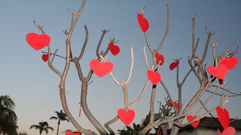 Ook in Thailand is Valentijnsdag erg populair als de dag van de liefde