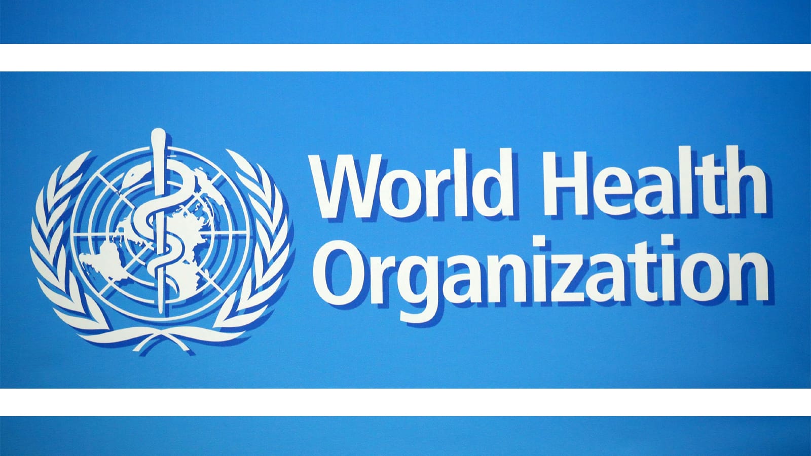 Update: WHO wijzigt rapport en verwerpt verband tussen Covid-19 uitbraak en Thaise wildmarkt