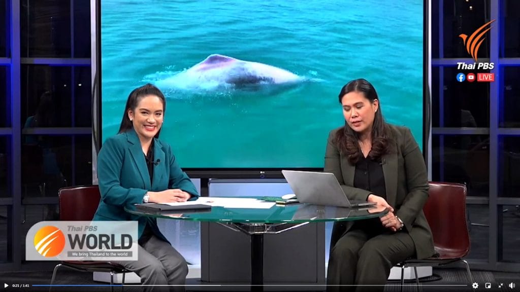 Video: zeldzame roze dolfijnen gespot in Nationaal Park Mu Ko Ang Thong