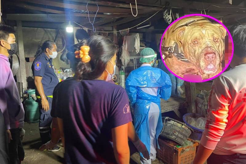 UPDATE | Eigenaar overleden na door zijn pitbull in Pattaya te zijn aangevallen