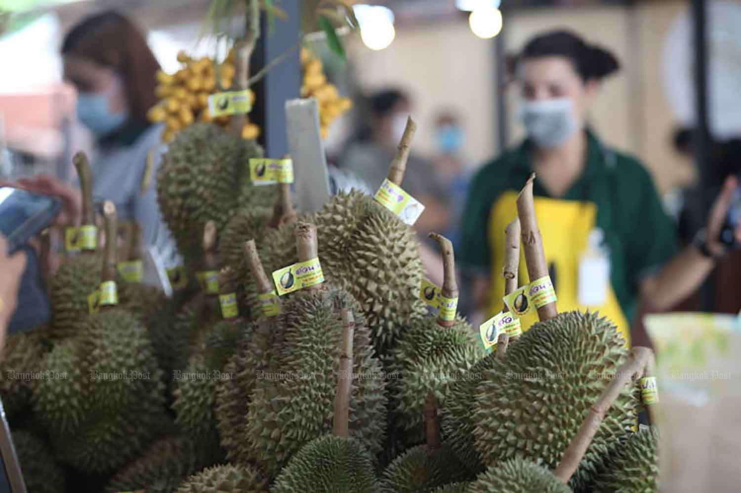 Thailand wil grootste durianteler ter wereld worden