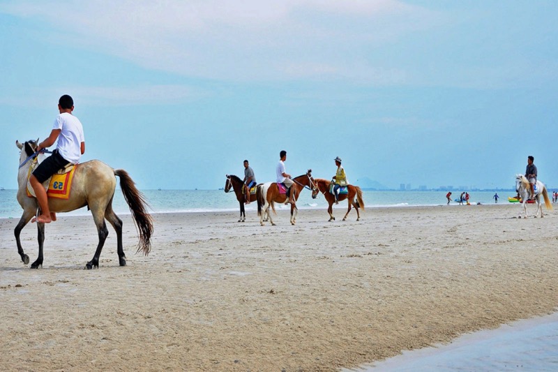Op het strand van Hua Hin staan de paarden en pony’s gedwee te wachten op het toerisme