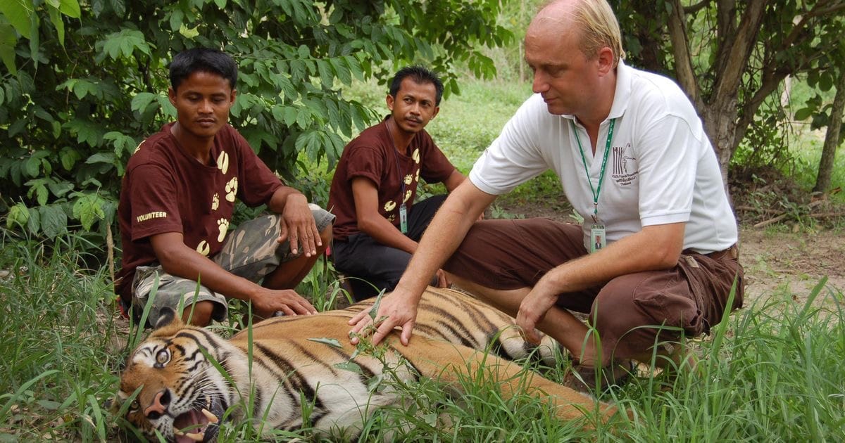 Edwins dierenopvang in Thailand op rand van afgrond: 800 beesten dan zonder verblijf