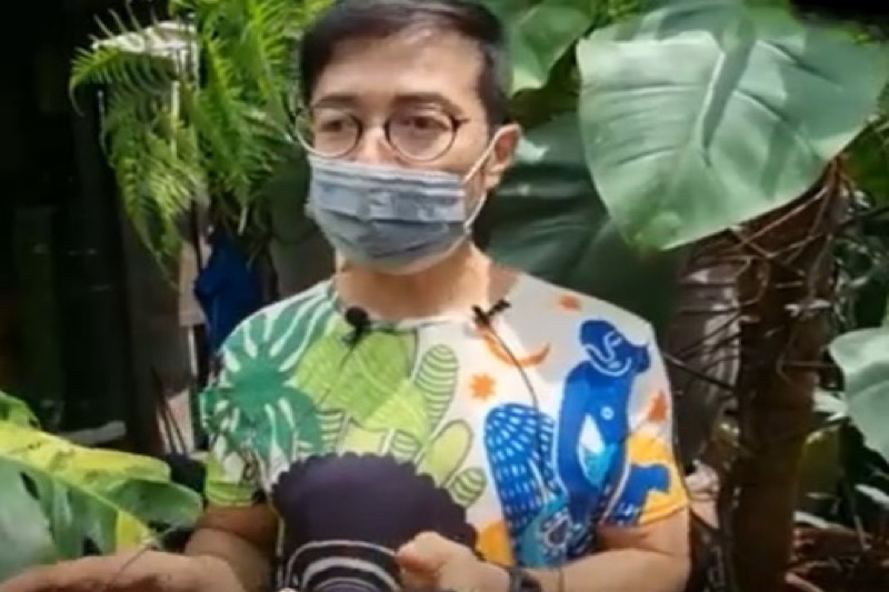 Thaise kweker verkoopt zeldzame potplant voor 45.000 euro: “Een koopje”