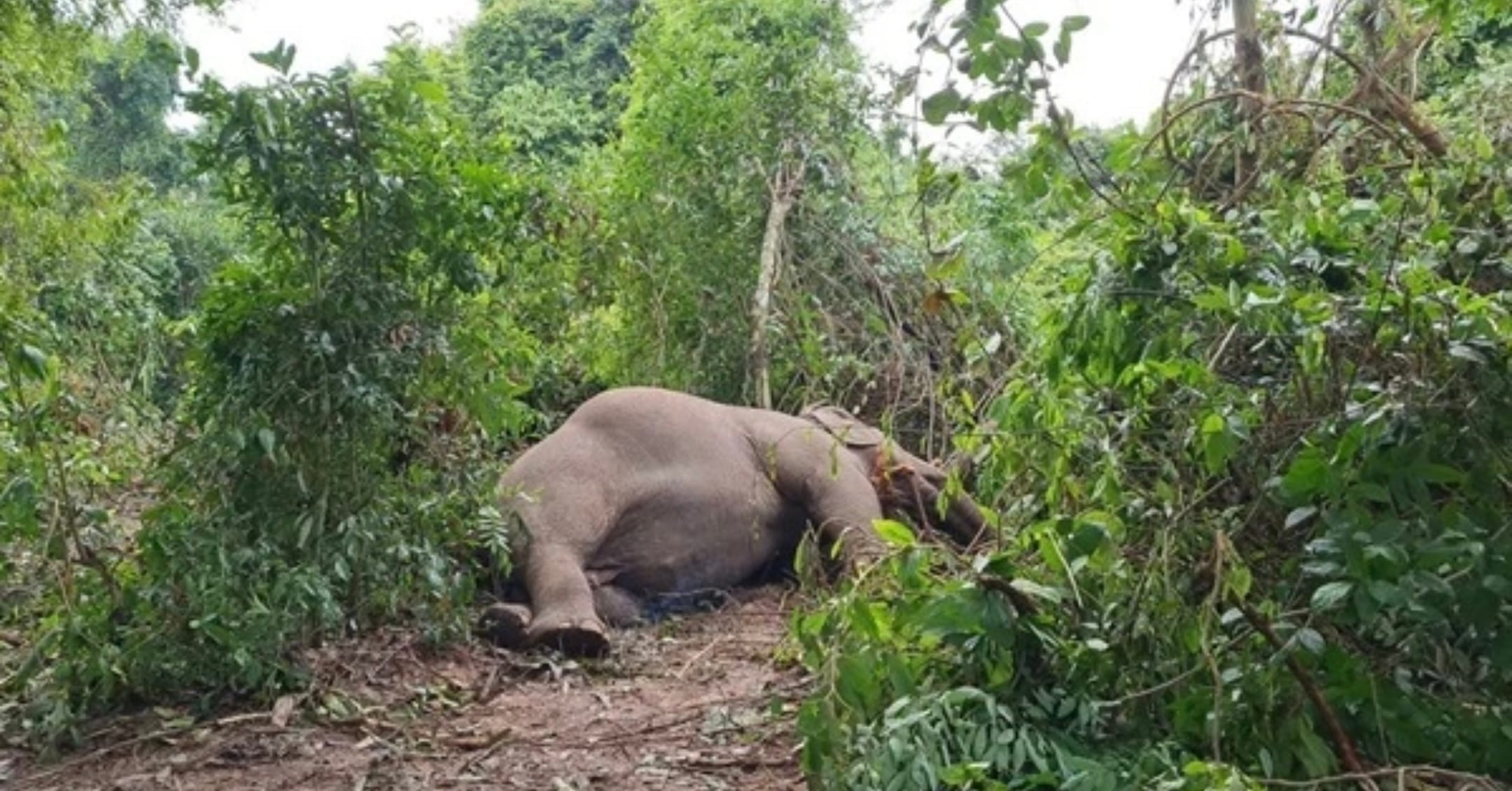 Veertig jaar oude “dikke dame” komt bij blikseminslag in Pattaya om het leven