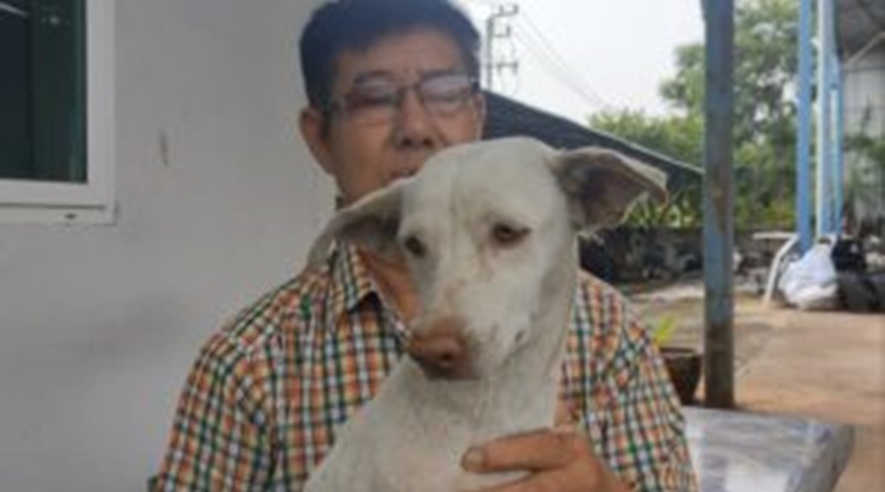 Hond brengt een souveniertje van 2.000 Yaba-pillen mee naar zijn Thaise baasje