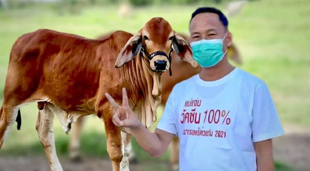 Als u zich in het noorden aanmeldt voor de vaccinatie, kunt u daar een kalf winnen
