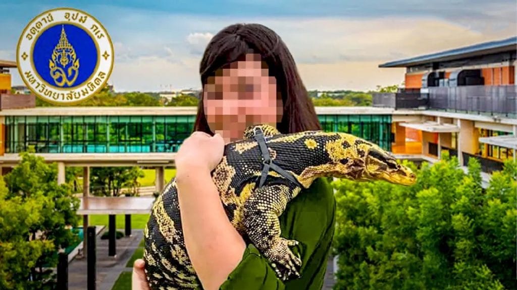 De wetenschap in Thailand tapt hagedissenbloed af voor de behandeling van het Covid19 virus