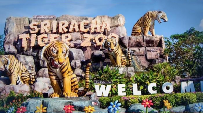De Sriracha Tiger Zoo in Chonburi sluit na 24 jaar de poort
