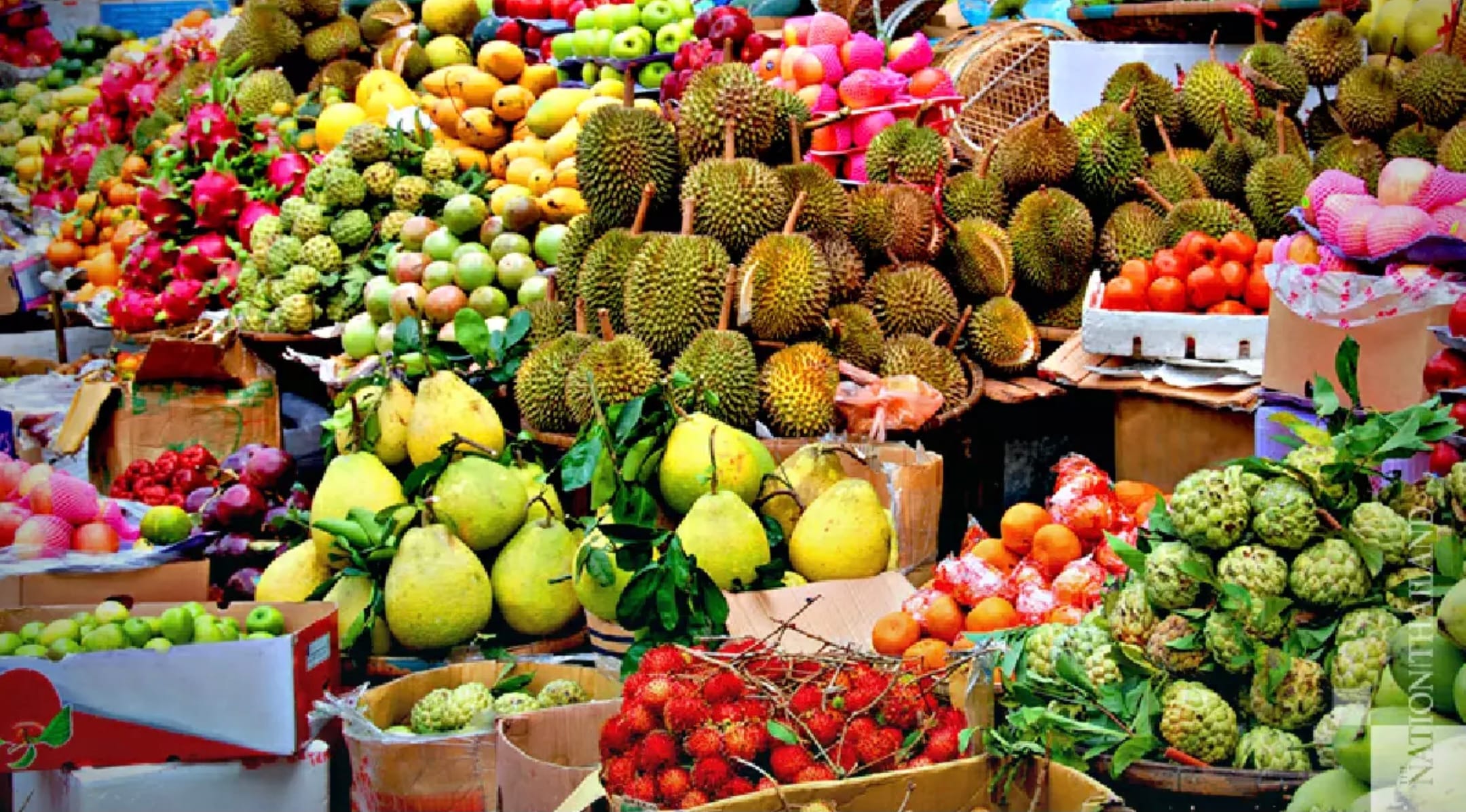 Het populaire Thaise fruit moet voor export naar China willekeurig gecontroleerd gaan worden.