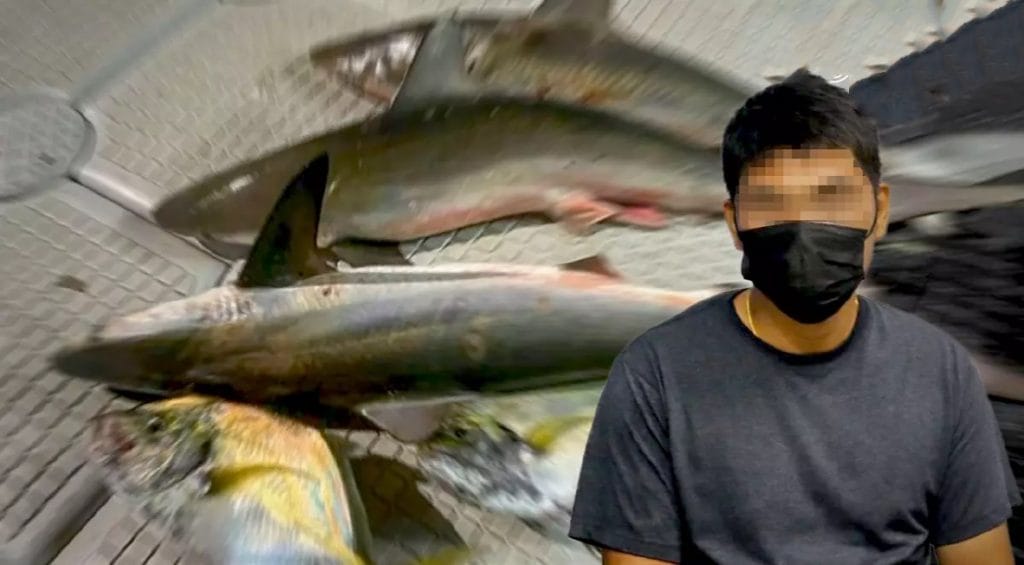 Twee Thaise mannen in Krabi opgepakt voor het slachten van haaien