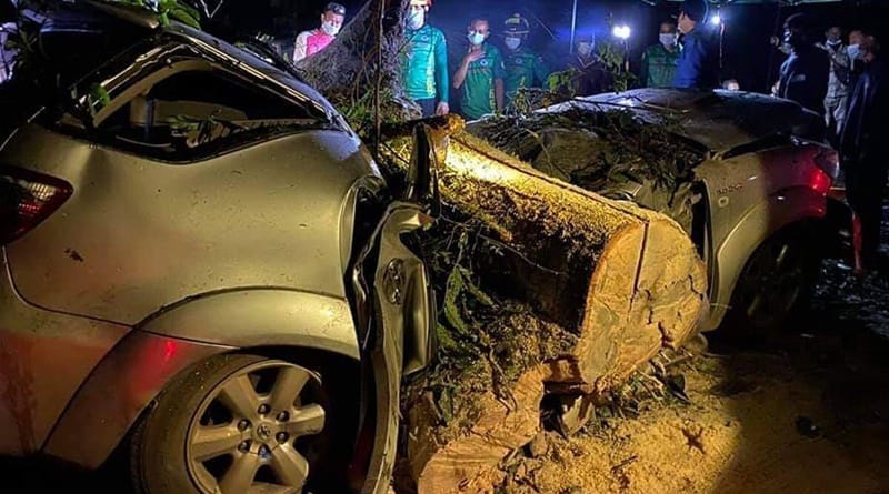 3 familieleden gedood toen een grote boom tijdens regenbui op hun auto viel