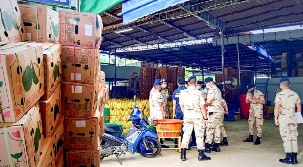 Thaise fruitexporteur in Chantaburi gearresteerd na het sjoemelen met de echtheid van Thaise doerians