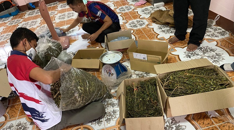 Man in Sakaew gearresteerd voor de kweek en verkoop van marihuanaplanten
