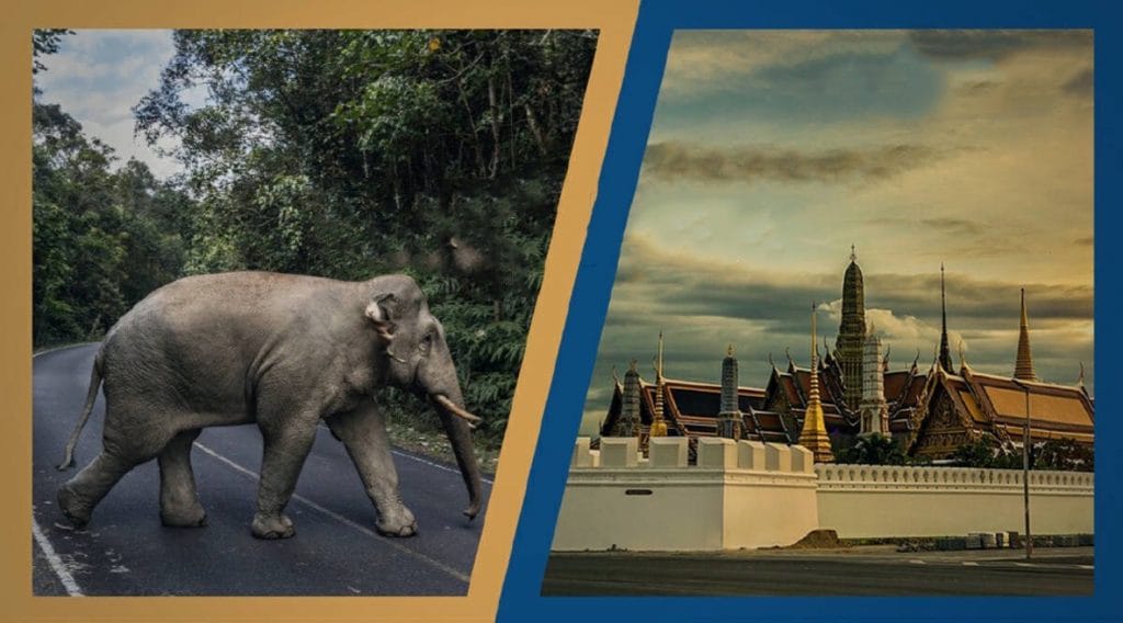 Volgens Time Magazine: zijn in Thailand de hoofdstad Bangkok en nationaal park Khao Yai de mooiste plaatsen