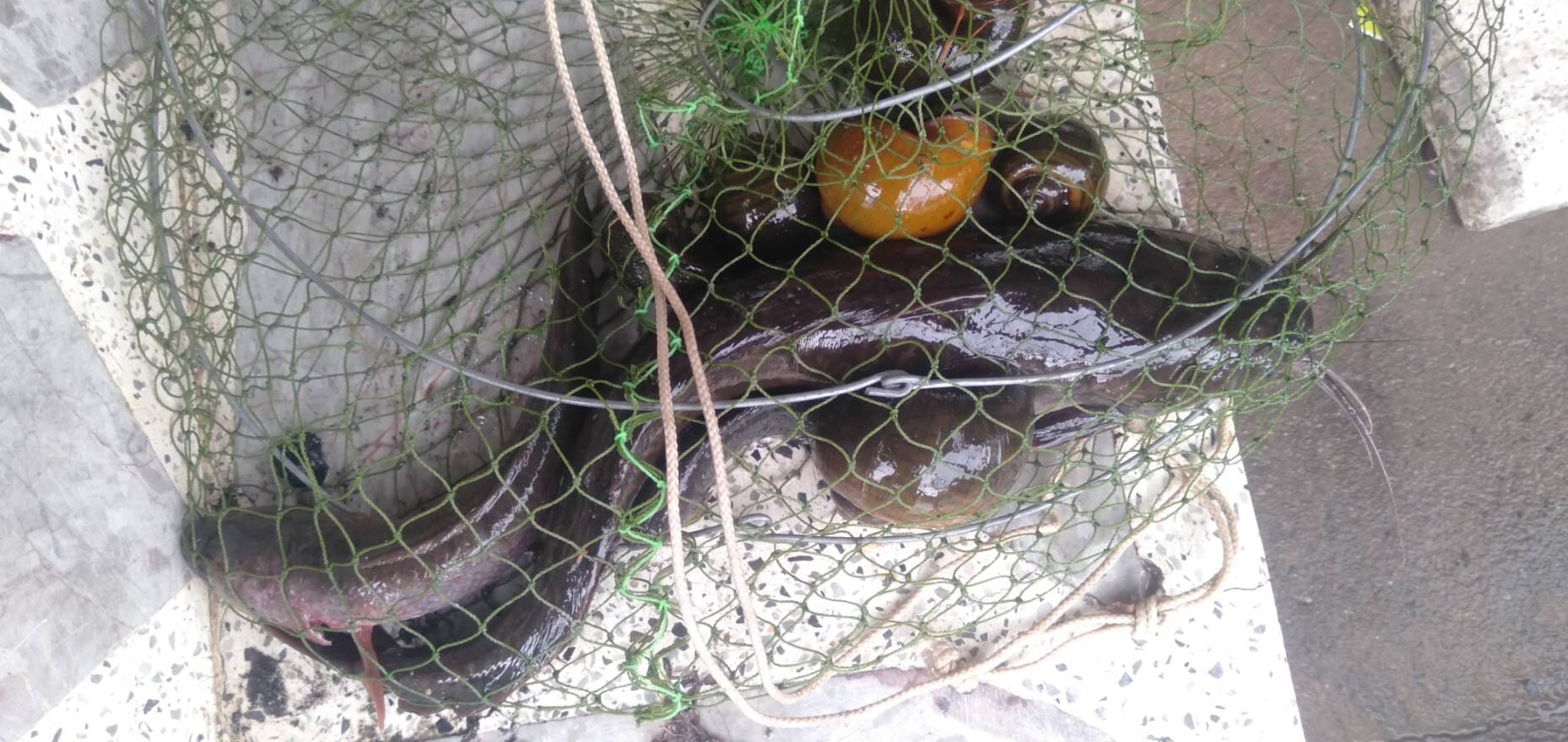 VIDEOCLIP | Massale overstromingen treffen Pattaya, sommige bewoners besluiten maar op straat te vissen!