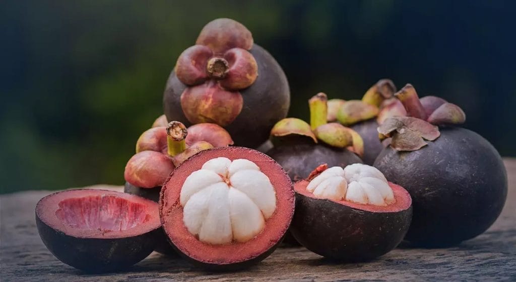 De prijs Mangosteen is 3 keer over de kop gegaan, 20.000 ton verkocht onder nieuwe binnenlandse strategie