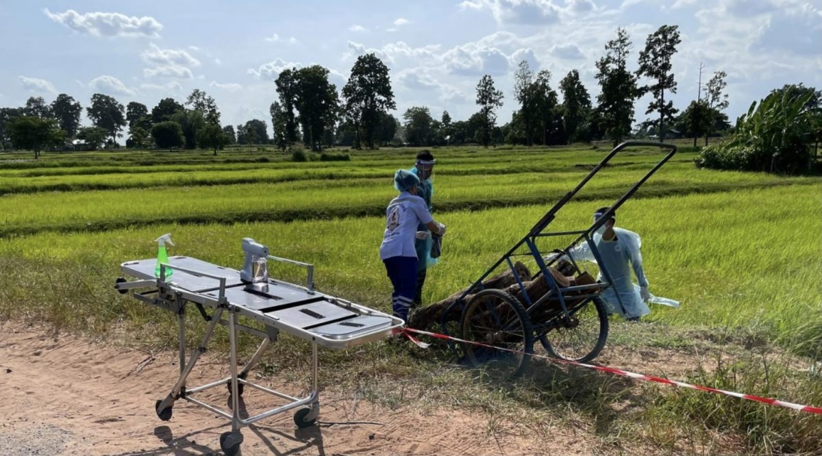 Man in een rijstveld in de Isaan doodgeschoten
