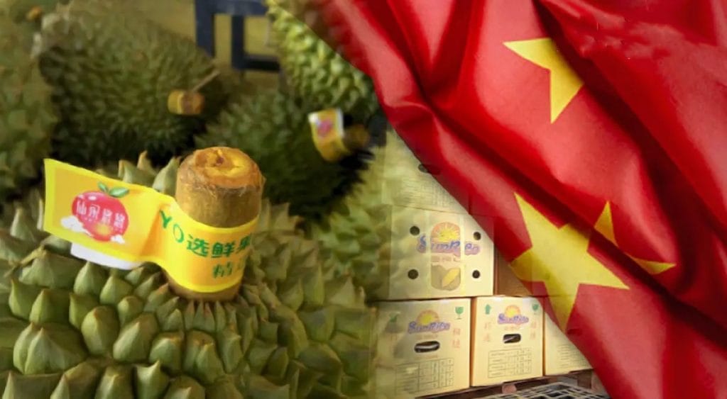De Chinezen hebben het Covid19 virus op doerian verpakkingen uit Thailand aangetroffen