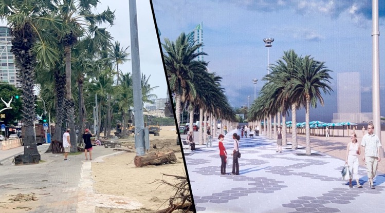 Burgemeester van Pattaya verdedigt het kappen van bomen als onderdeel van het nieuwste strandrenovatie project
