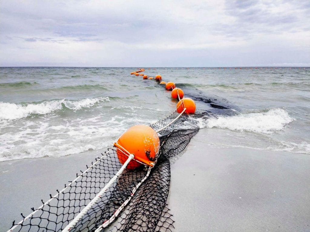 Strand bezoekers in Hua Hin gewaarschuwd voor dodelijke kubuskwallen