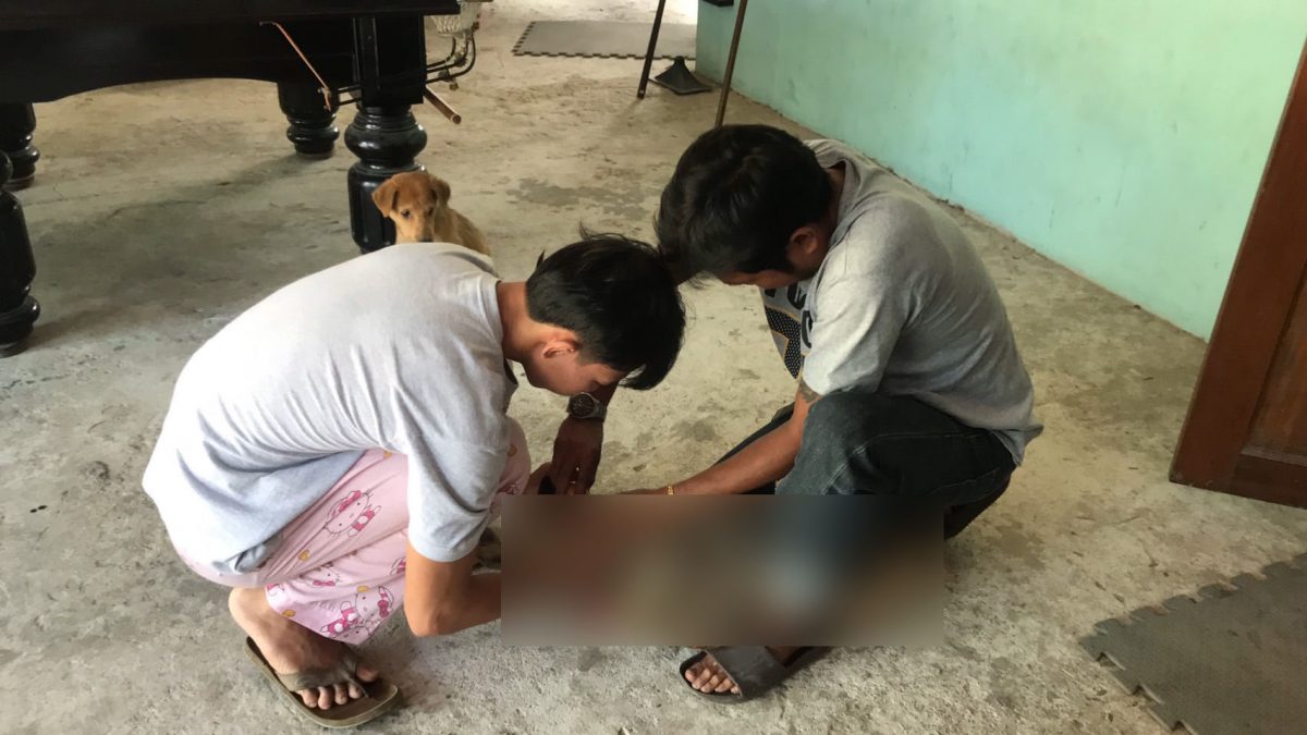 In Pattaya zijn 2 honden dood aangetroffen, de eigenaar vermoedt vergiftiging