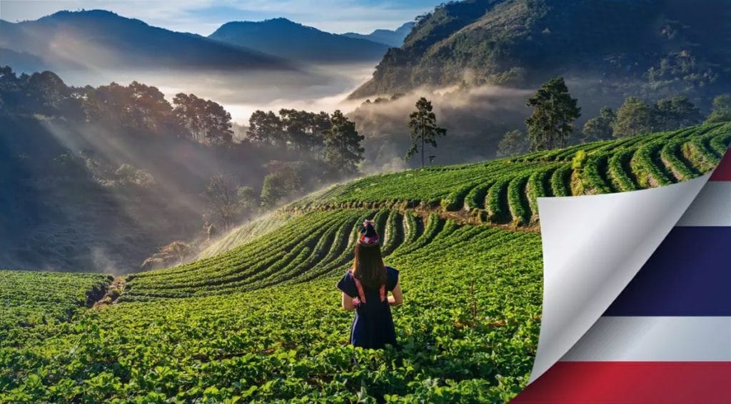 Nadat Bangkok en 5 andere provincies op 1 oktober weer buitenlandse toeristen mogen ontvangen, komen tientallen ander provincies nu ook aan bod