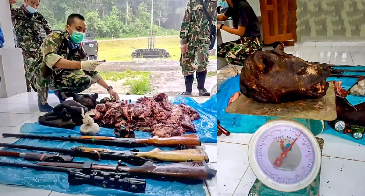 De boswachters van het Umphang Wildlife Sanctuary in Tak pakten twee jagers op die een achter-nicht van Olleke Bolleke vermoord hadden