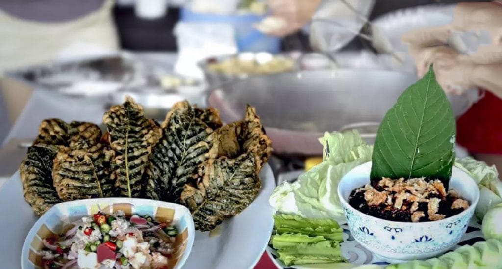 Thaise FDA eist een vergunning om dranken met kratom te mogen verkopen