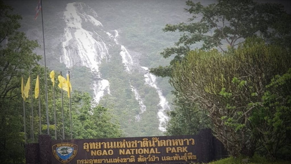 Nieuwe bloem in Ranong National Park van Thailand ontdekt