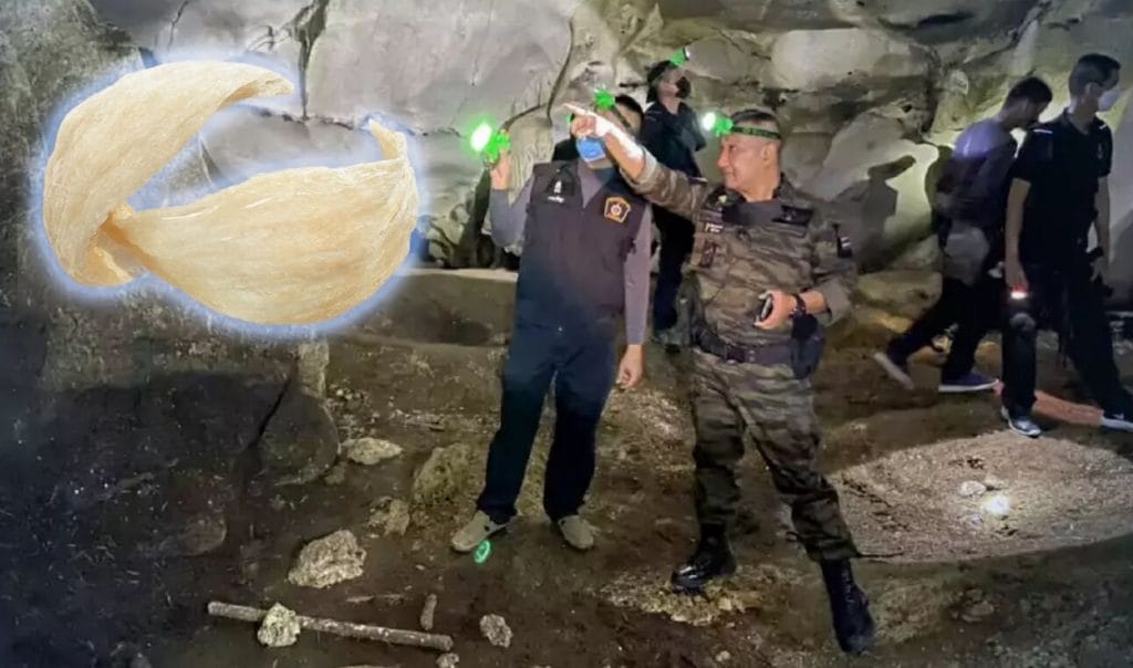 In Zuid Thailand zijn 6 arrestatiebevelen uitgevaardigd in verband met de dood van 1 miljoen zwaluwen en de plundering van hun nesten