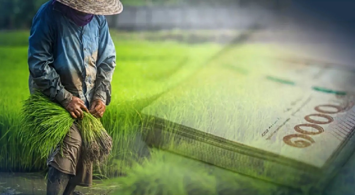 Het kabinet van Thailand keurt het budget van 131,6 miljard baht aan maatregelen goed om boeren te helpen