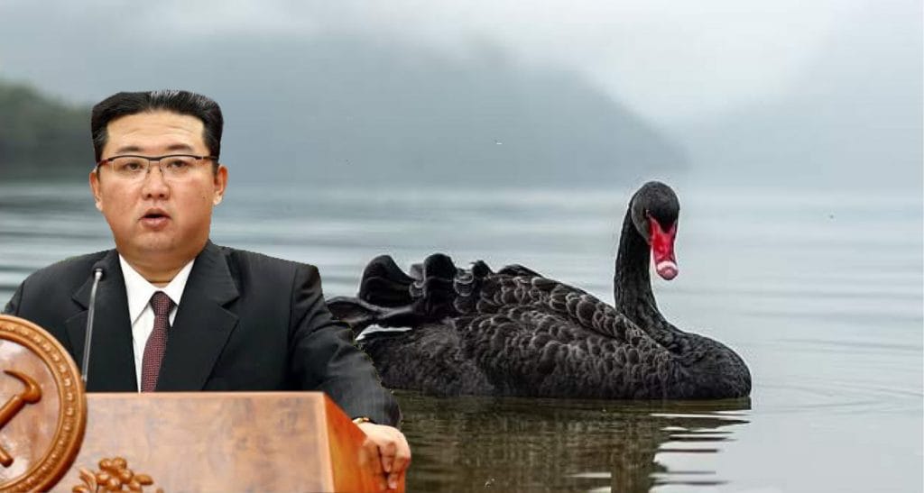 Kim Jong-un houdt hongerende Noord-Koreanen voor: eet méér zwarte zwanen