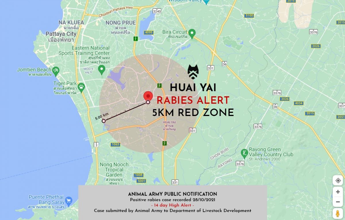 Dierenbescherming Pattaya waarschuwt voor twee bevestigde gevallen van rabiës bij honden in Huay Yai