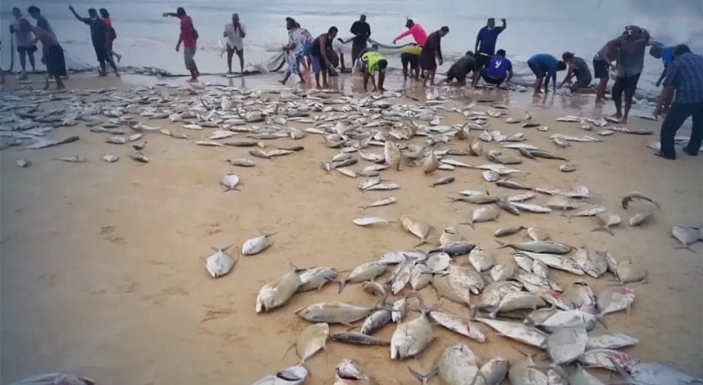 Snel terugtrekkend tij laat voor de bewoners van Phuket een kadootje achter