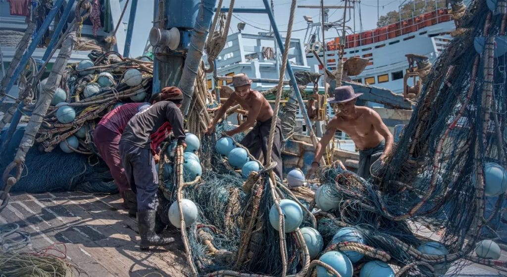 De visindustrie van Thailand wordt geconfronteerd met een Amerikaans verbod vanwege het gebruik van ongepast materieel