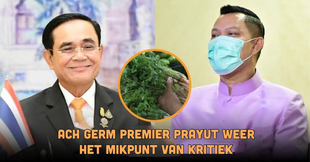 De order van minister Prayut om koriander in militaire kazernes te kweken is louter goedbedoeld