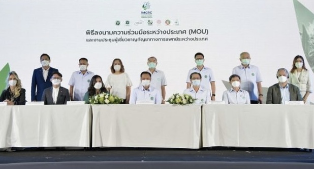 Thailand wil vooroplopen met mediwiet en start het ‘International Medical Cannabis Research Center’