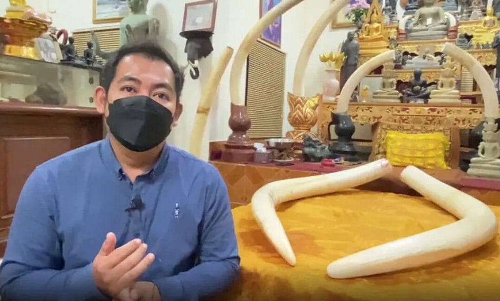 Veiling in Thailand van 2 olifantenslagtanden voor het goede doel, ingezet op 25 miljoen baht