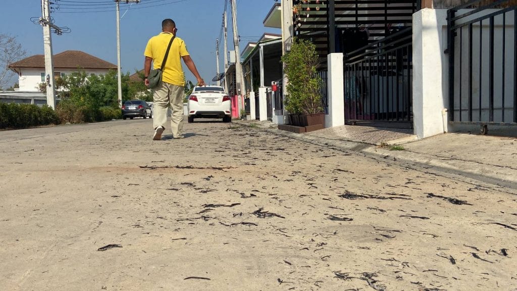 Dorpelingen in Ban Bueng klagen over luchtvervuiling in Chonburi nadat het as van brandende gewassen in hun gemeenschap neerdwarrelde