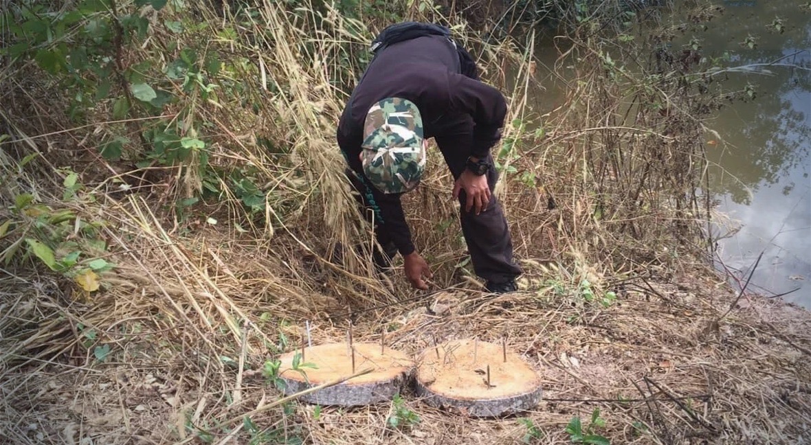 Lokale boeren in de provincie Loei beschuldigd van het plaatsen van 100 olifantenvallen in de buurt van olifanten opvangcentrum