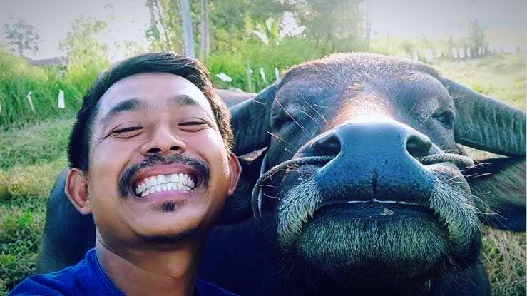 De buffels in Thailand verliezen hun anonimiteit