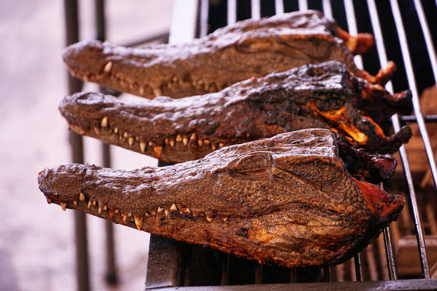 Het is OKAY om krokodillenvlees te eten, maar neem wel deze voorzorgsmaatregelen!