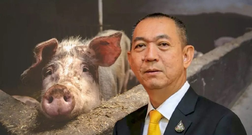 Het Thaise Ministerie van Landbouw zal 2,9 miljard Baht zoeken om de Afrikaanse varkenspest te bestrijden