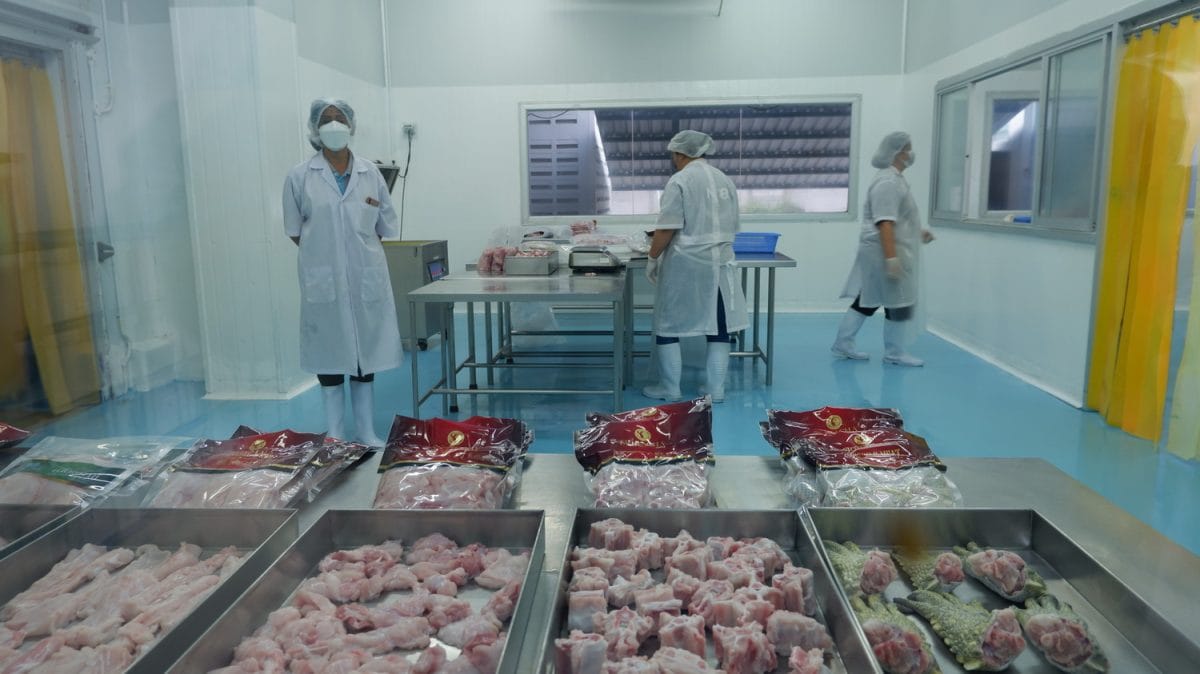 Krokodillenboeren moedigen in Thailand de consumenten aan om vanwege stijgende prijzen van varkensvlees en kip, krokodillenvlees te gaan eten