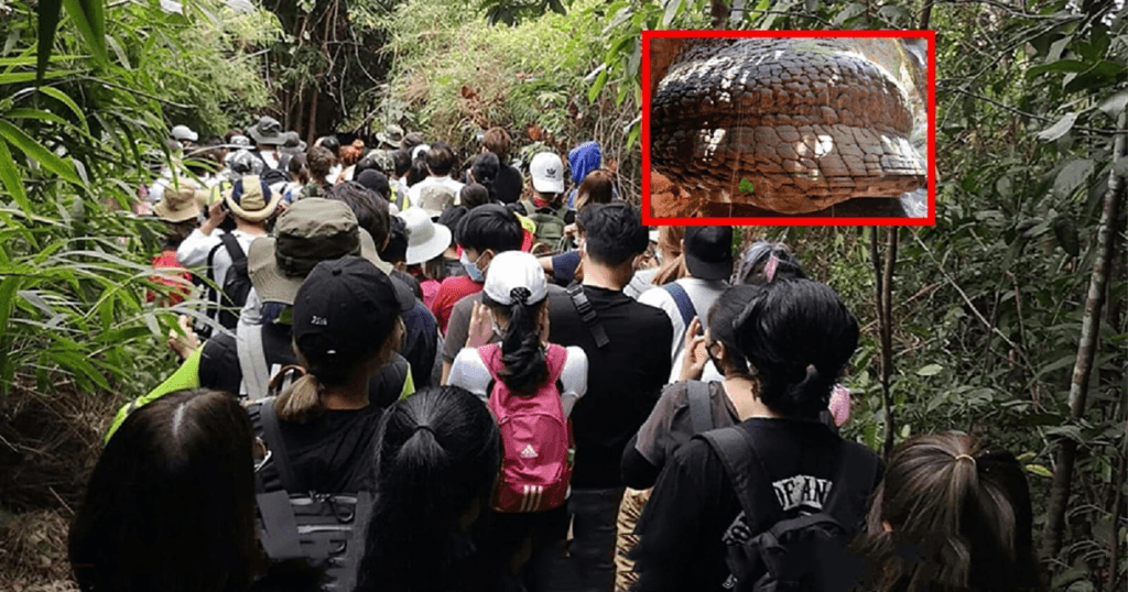Honderden Thaise toeristen zaten het afgelopen weekend vast op een berg tijdens bezoek aan de Naga grot