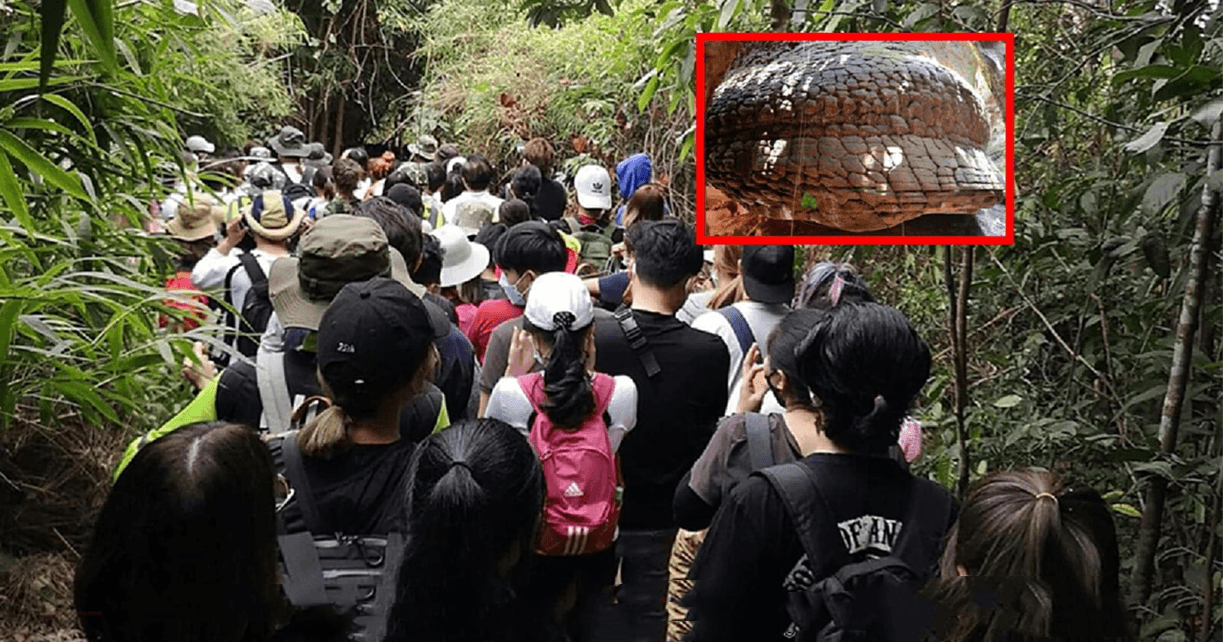Honderden Thaise toeristen zaten het afgelopen weekend vast op een berg tijdens bezoek aan de Naga grot