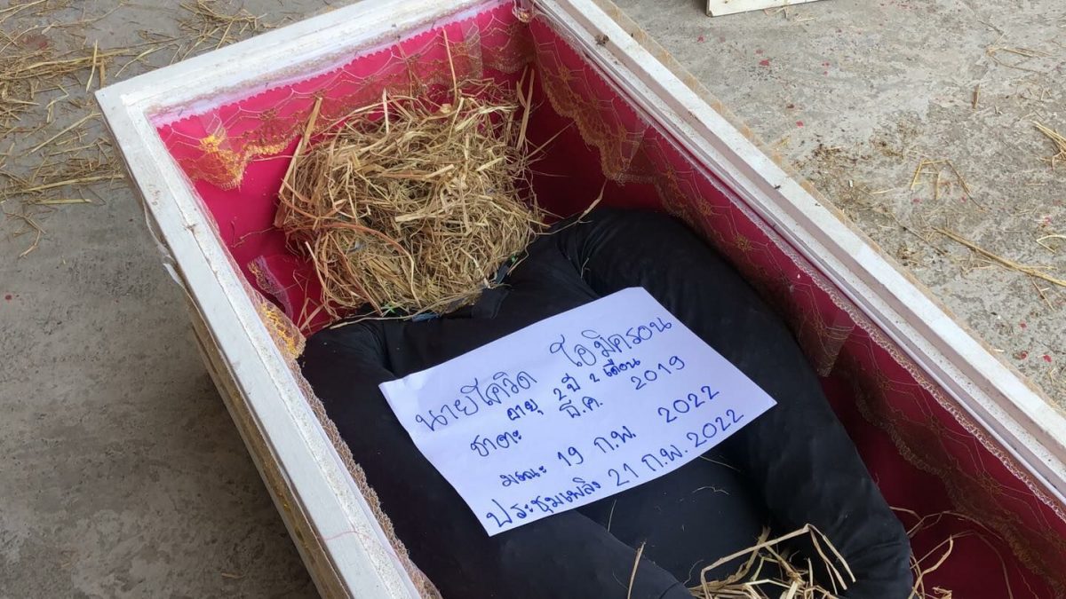 Thaise monniken organiseren begrafenis voor vogelverschrikker “Covid” om de ziekte uit te bannen