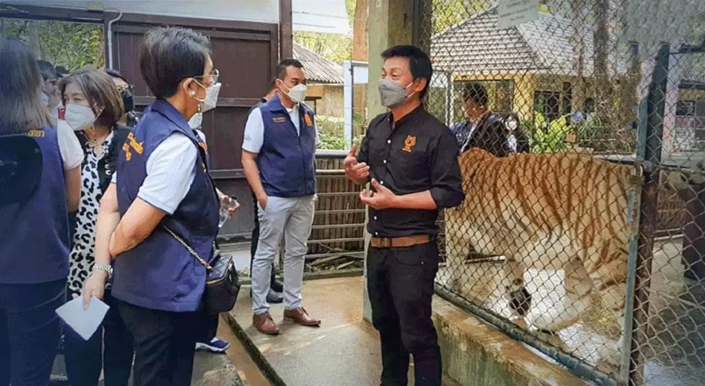 De olifanten en tijgerattracties in Thailand staan op de rand van faillissement