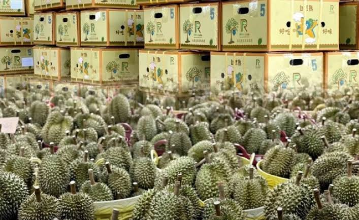 Thailand wil groen licht van China voor gebruik hogesnelheidstrein om durian te leveren